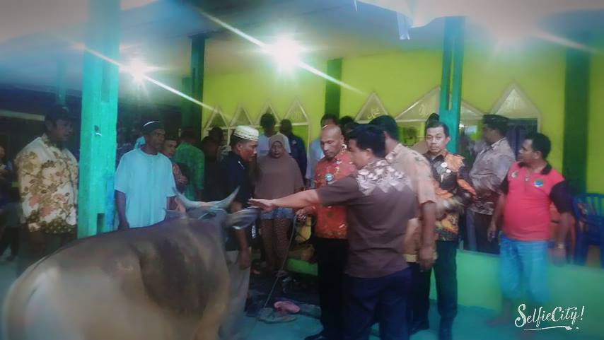 21245393_1450227838365551_1274750619_n