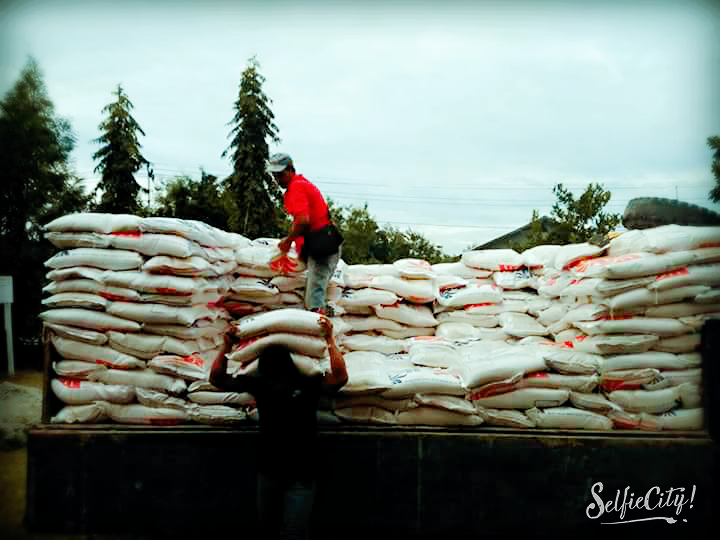 SelfieCity_20170908114555_org