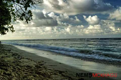 26235113_1976926608990635_1953188919_n